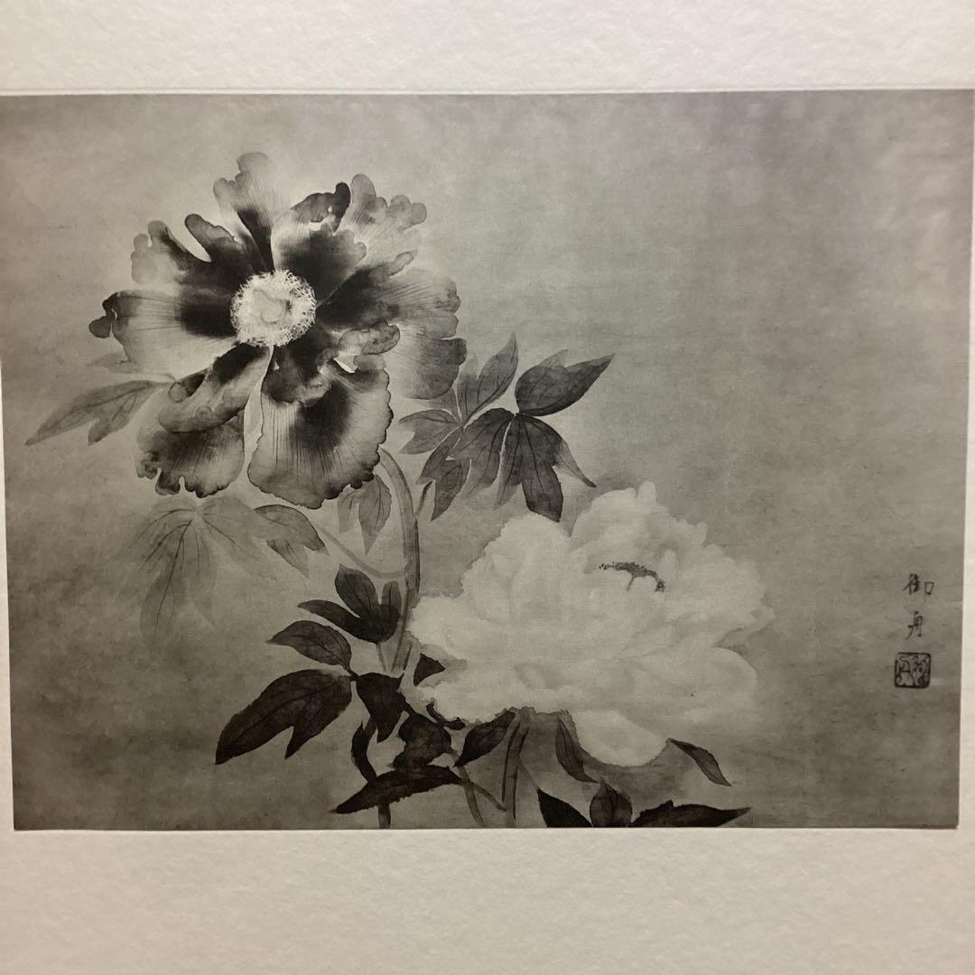 天才画家　速水御舟　作品集大作編　便利堂監修　NO 【50    牡丹双華】画集