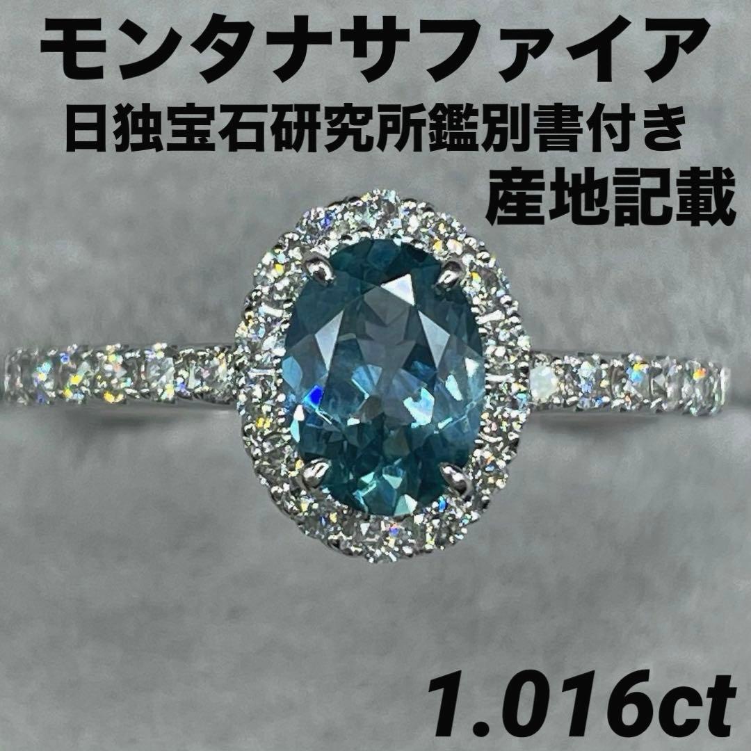 専用JK501鑑付★14号→16号 ※最長発送期日1/27〜1/29