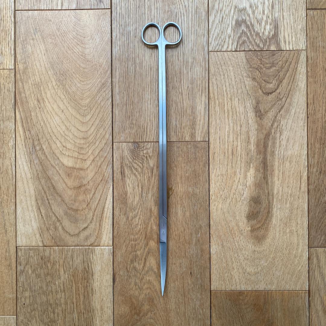 ADA プロシザース・ヌード 320mm