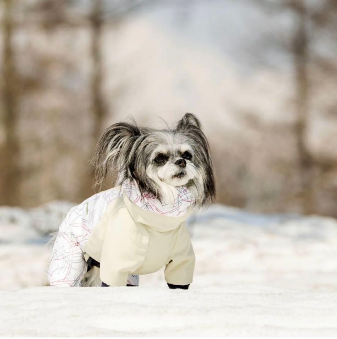 d*3様 新品未開封‼️ALPHAICON DOG GUARD AIR ML