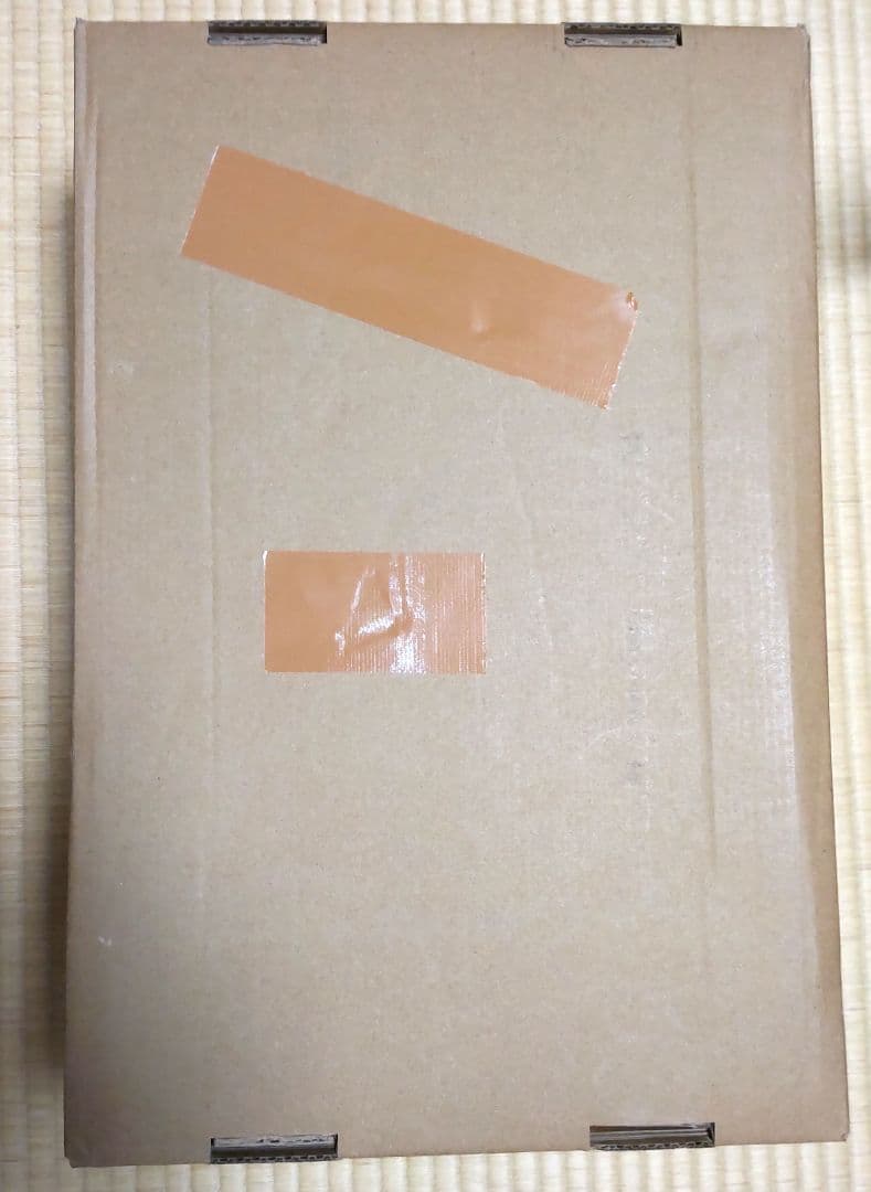 掃除機 コードレス 最軽量 65分連続稼働 充電スタンド サイクロン 除菌