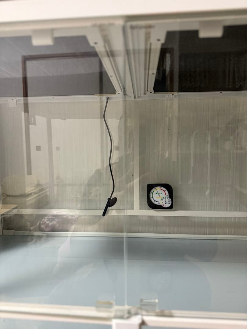 SANKO パンテオンカノンホワイト 　爬虫類 ケージ セット（引き取り限定）