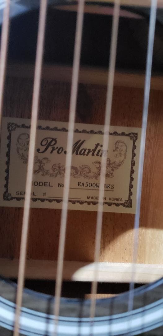 Pro Martin EA500BKS エレクトリックアコースティックギター