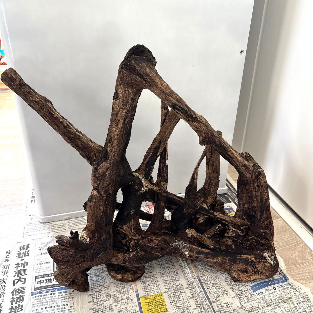 ☆大きなガラス水槽とLED照明、水槽台、その他一式セット☆