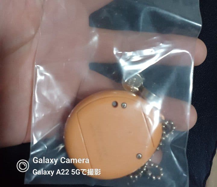 ➑M2 たまごっち1996年産 確認済み+テスト用LR44付