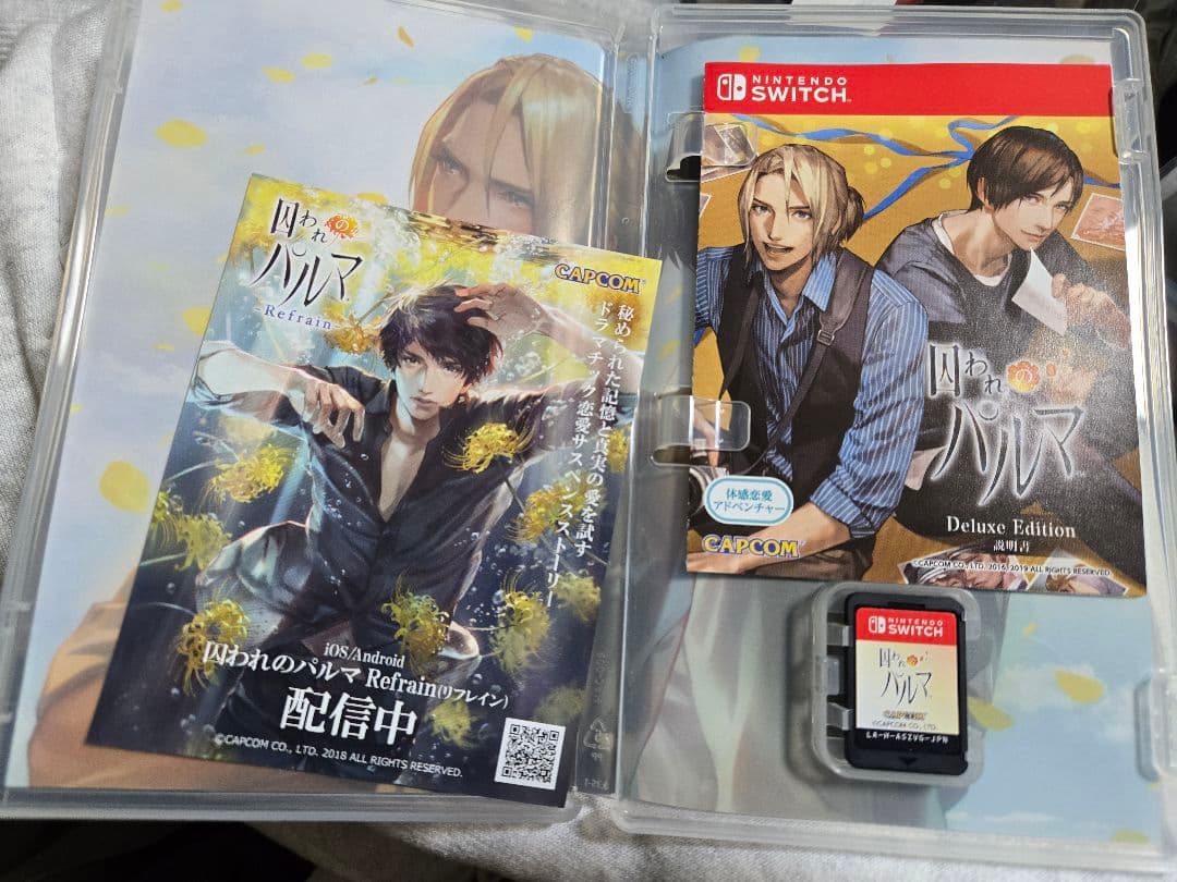 囚われのパルマ Deluxe Edition　Switch