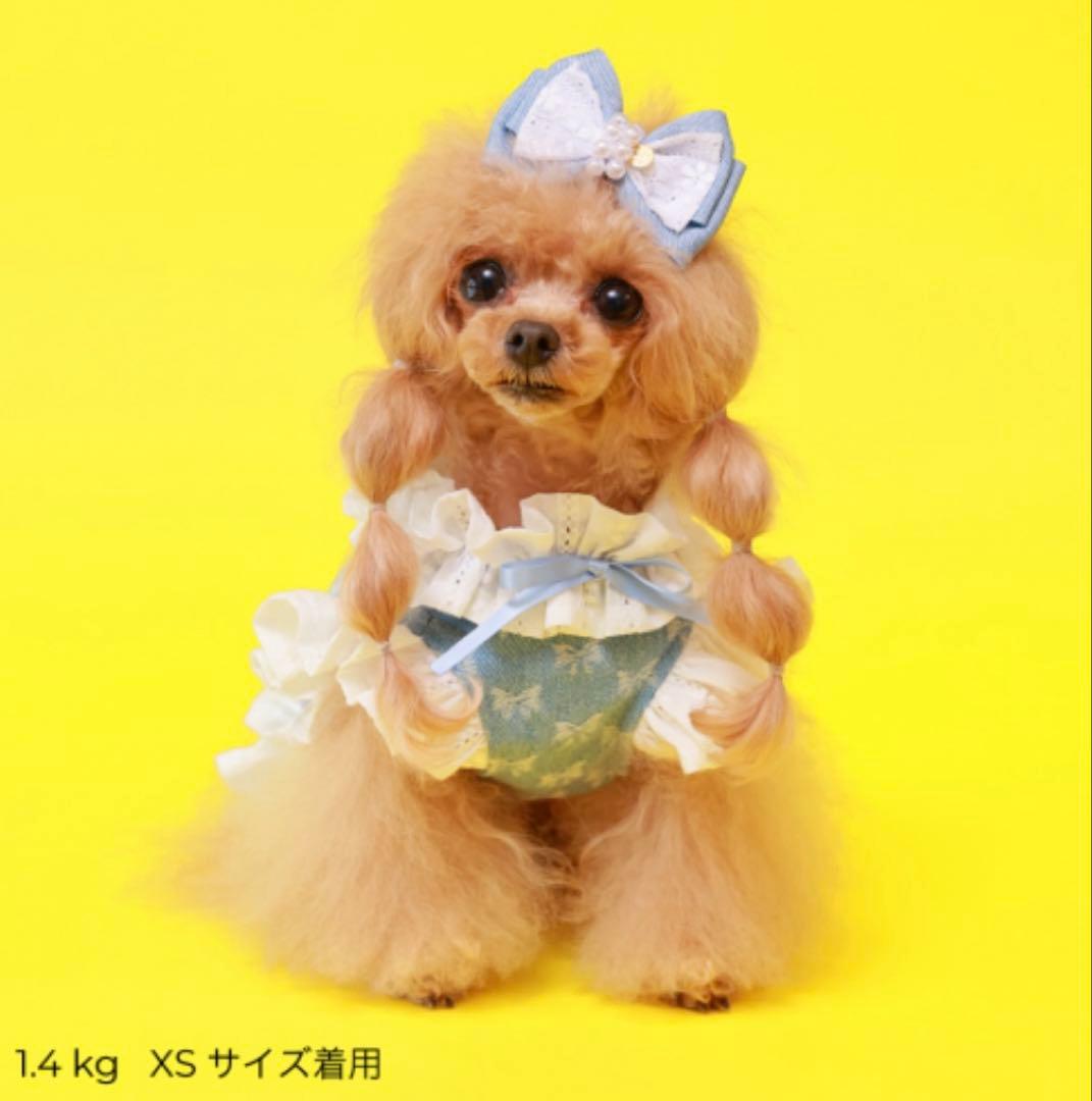 【値下中！】新品未使用godpiva COOLデニムハーネス リボン柄 S