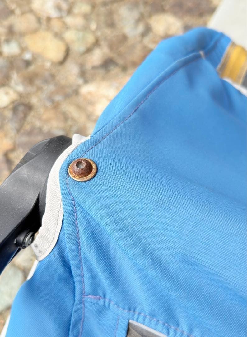 burley D’lite2 2人用トレーラー + 付属品