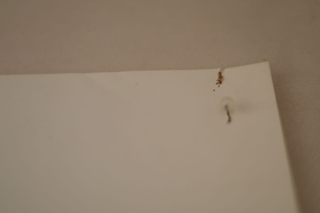 森田幸子　MORITA SACHIKOモノクロ靴のポスター