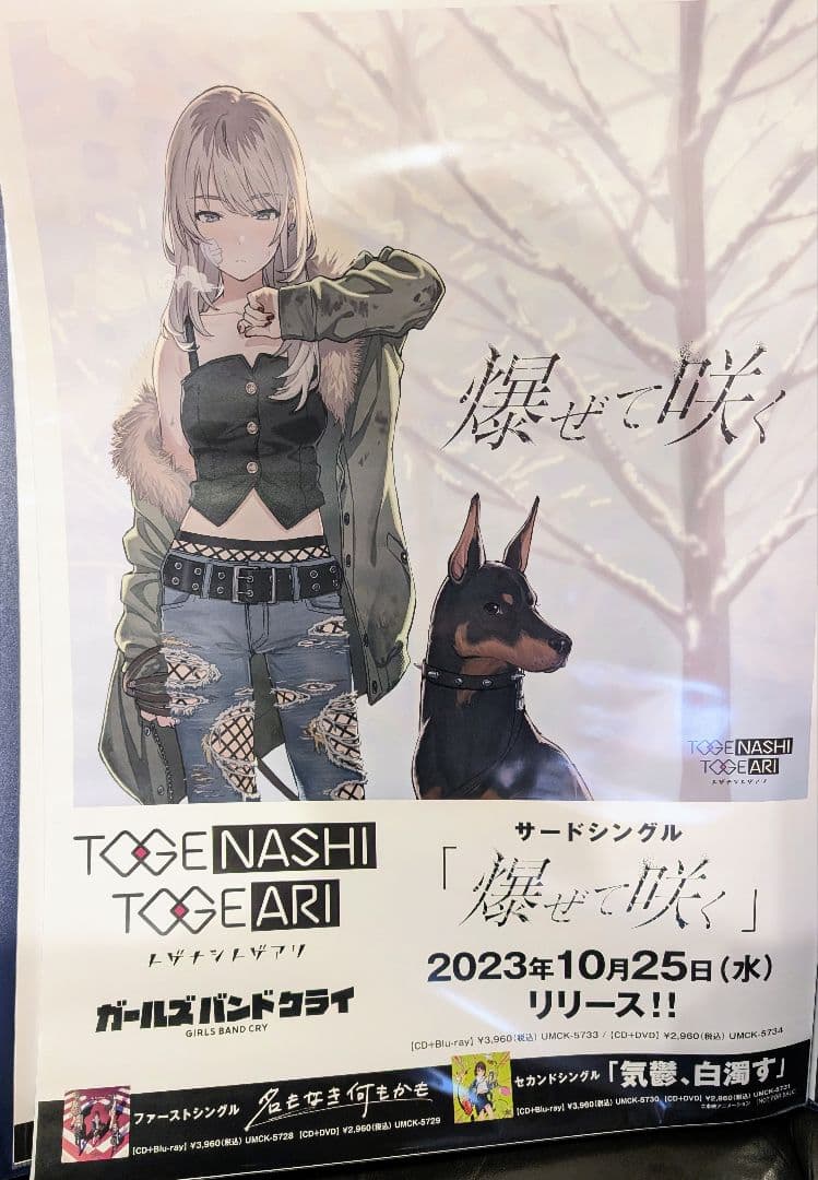 トゲナシトゲアリ 爆ぜて咲く B2販促ポスター ガールズバンドクライ