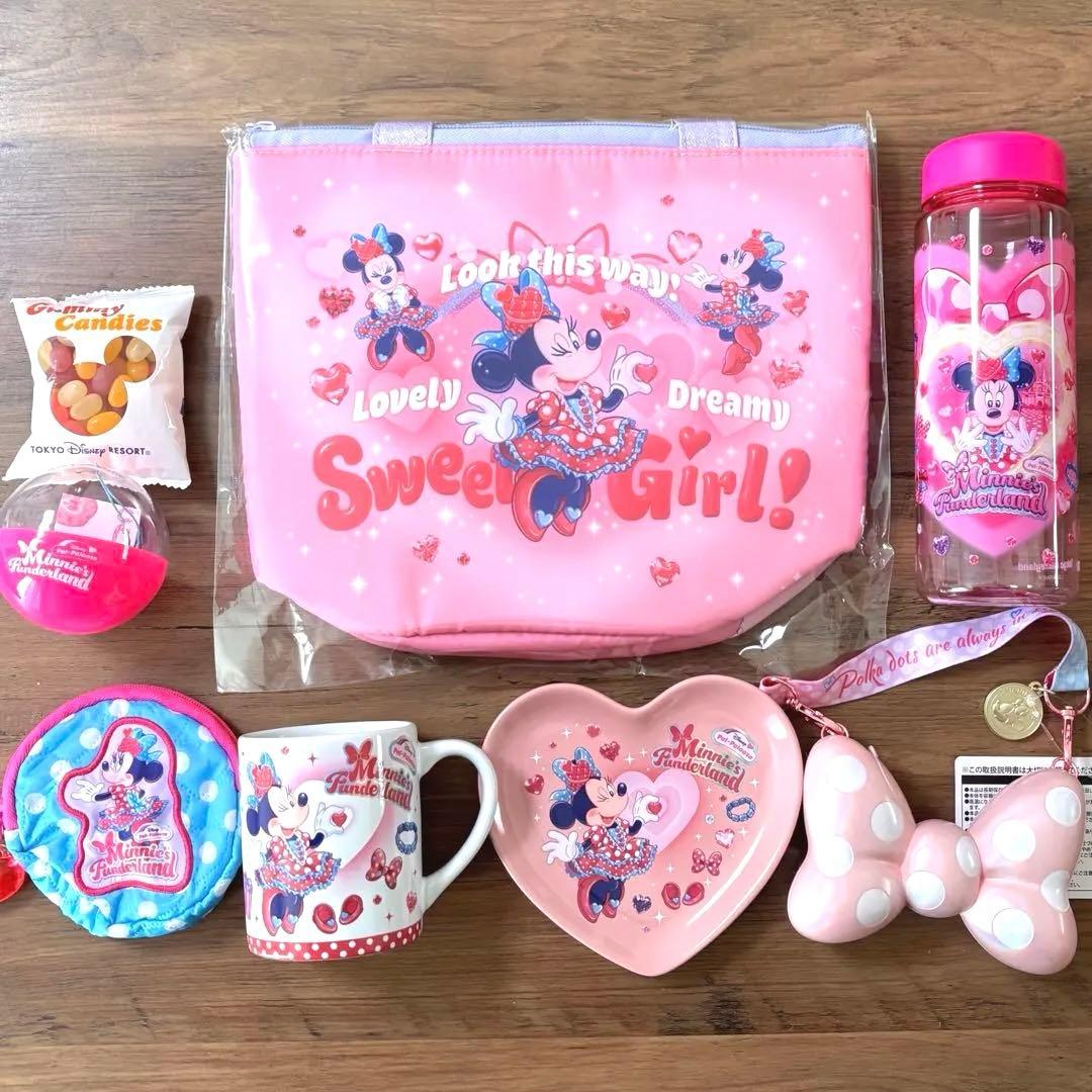 パルパルーザ　スーベニア　ミニー　ファンダーランド　ランチケース　ディズニー