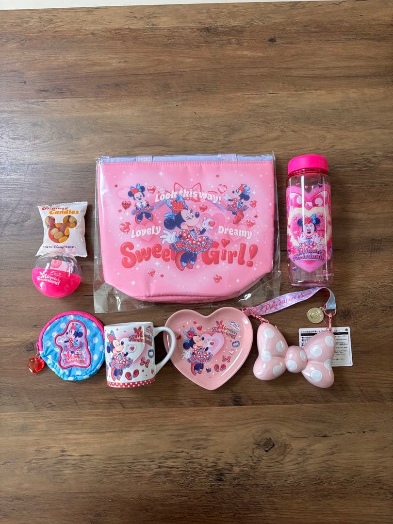 パルパルーザ　スーベニア　ミニー　ファンダーランド　ランチケース　ディズニー