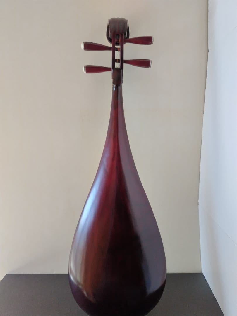 中国琵琶、ケース、弦、DVD