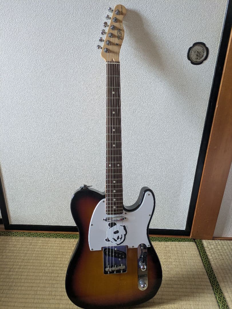 ギター FUJIGEN JTL-5R