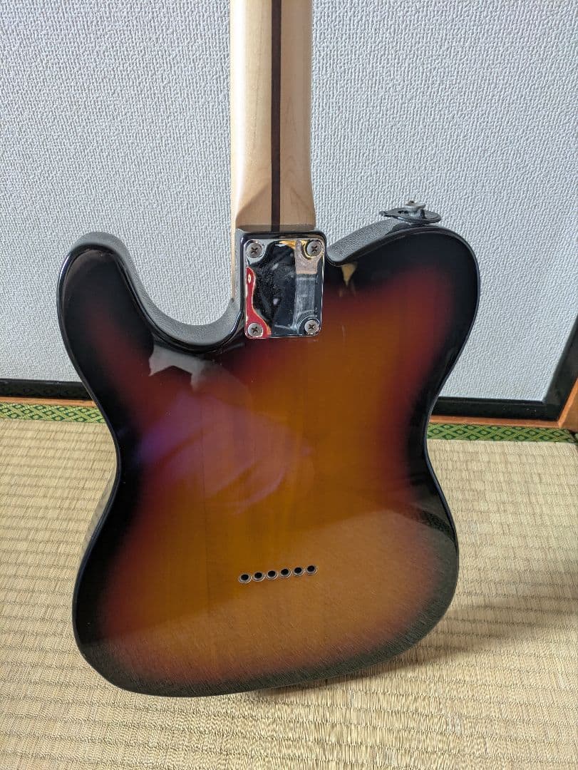 ギター FUJIGEN JTL-5R