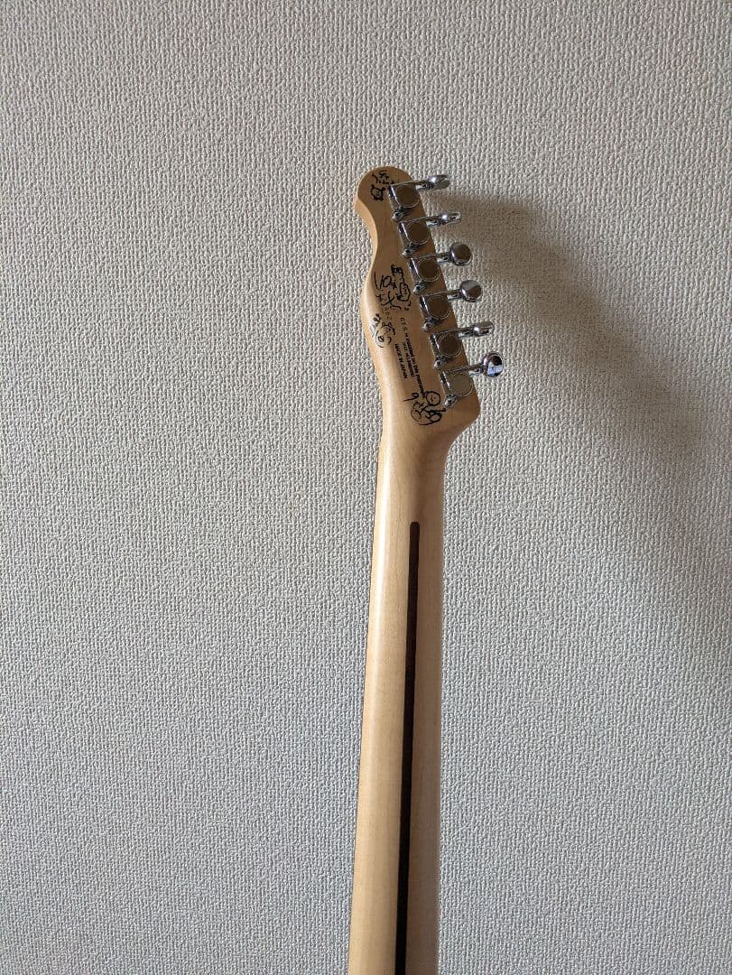 ギター FUJIGEN JTL-5R