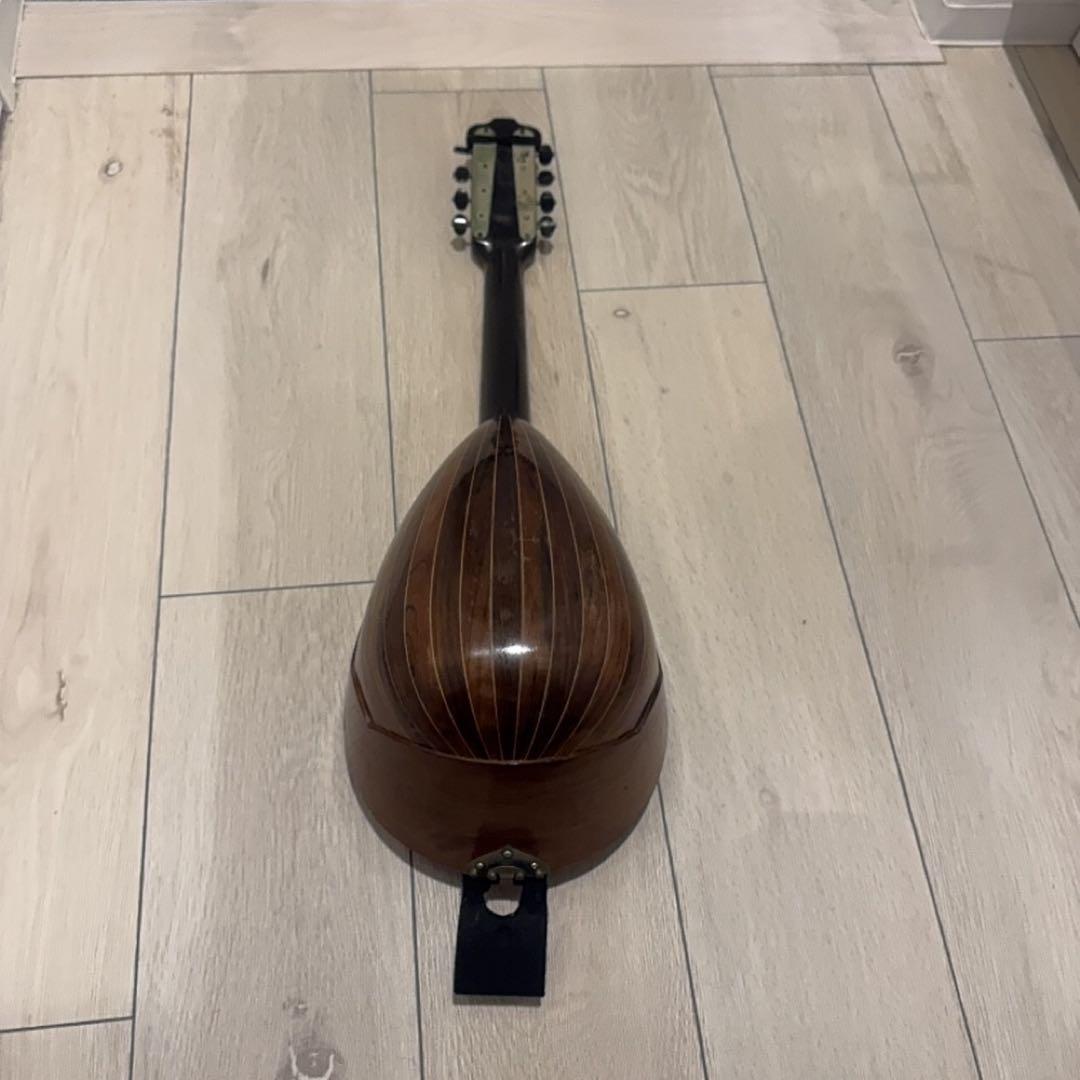 弦楽器 FORNITORI DELLA REAL CASA