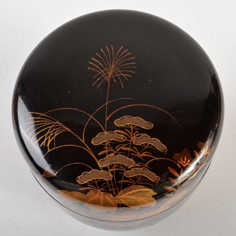 いさ　茶道具　秋草蒔絵　棗　時代箱付　V　6791