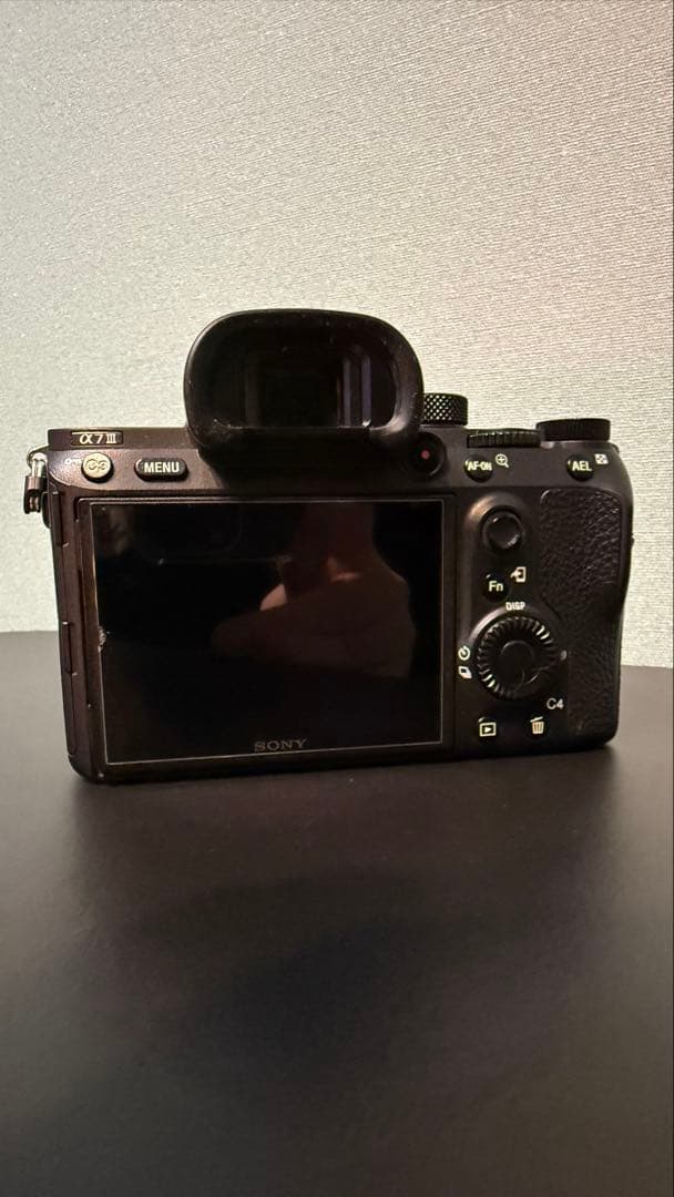 お得!!PeakDesignバッグ付 SONY α7III フルレンズキット