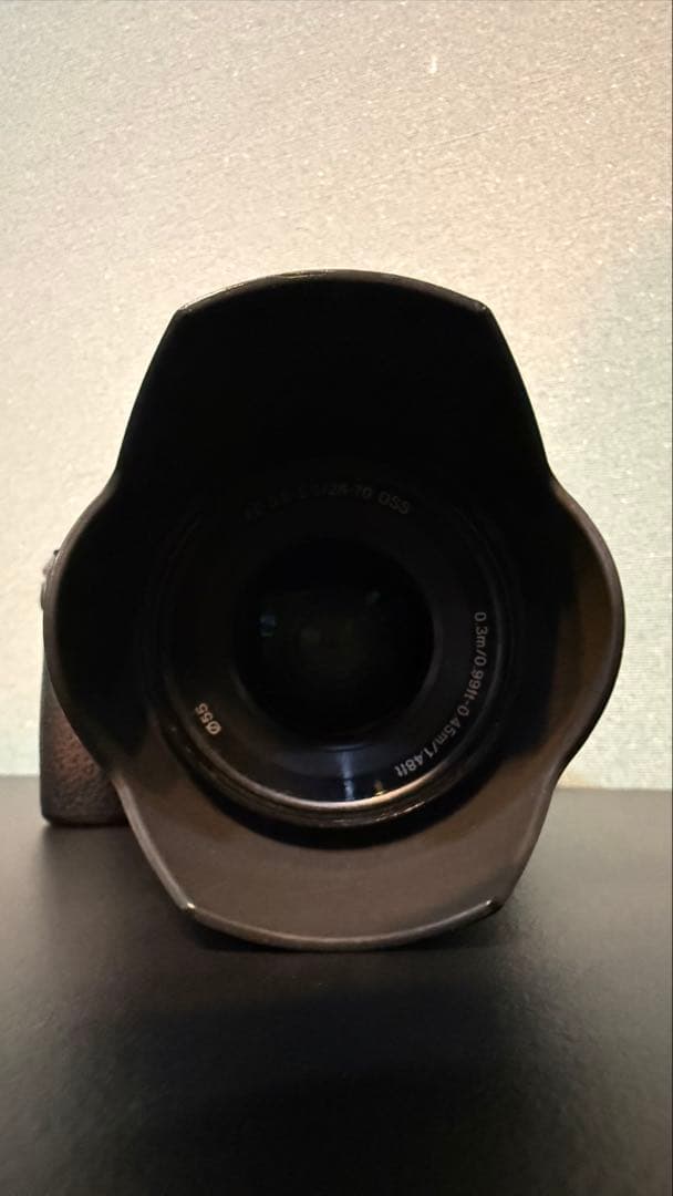 お得!!PeakDesignバッグ付 SONY α7III フルレンズキット