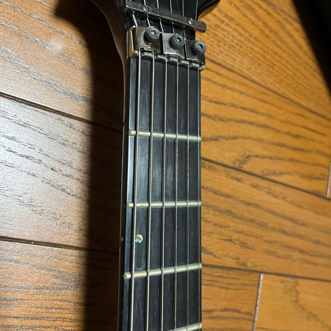 【オシオ】フォレスト エドワーズ　ESP ソフトケース付き