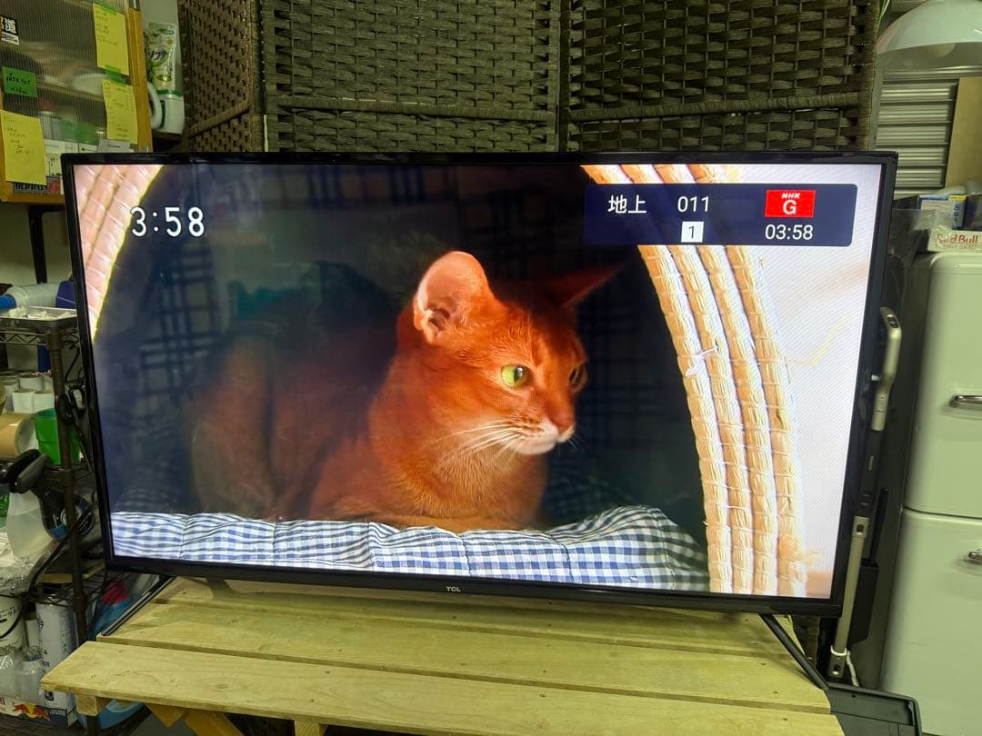 【美品】TCL 40型 HD液晶テレビAndroidテレビ 40S515