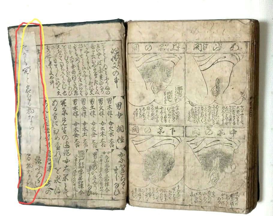 黒摺版画本女大楽寳開（色)月岡雪鼎画 宝暦年間最初4丁8ページ欠け。直し補修有り