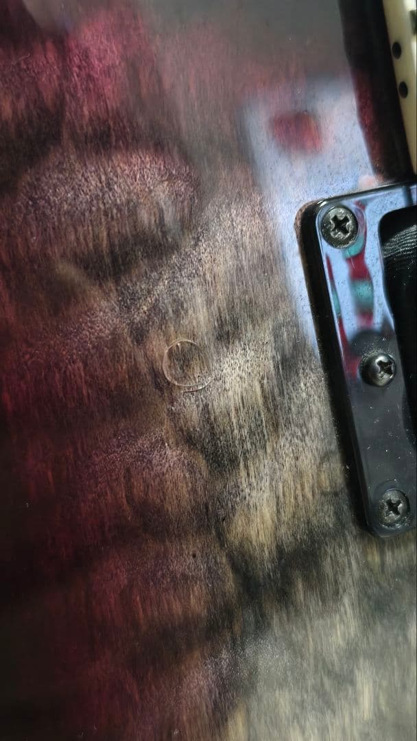 PRS SE Mark Holcombモデル