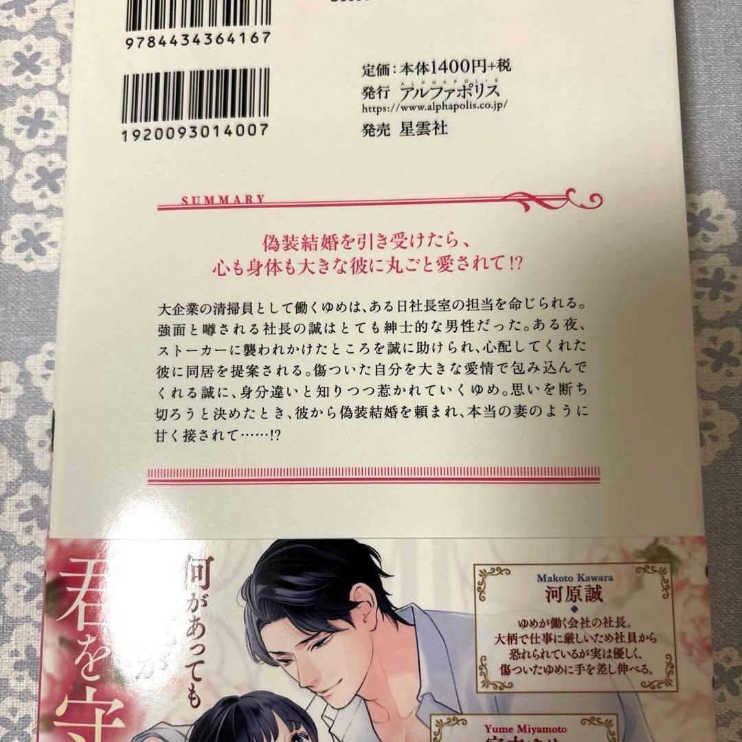 【専用】エタニティブックス・ルネッタブックス　9月新刊　他