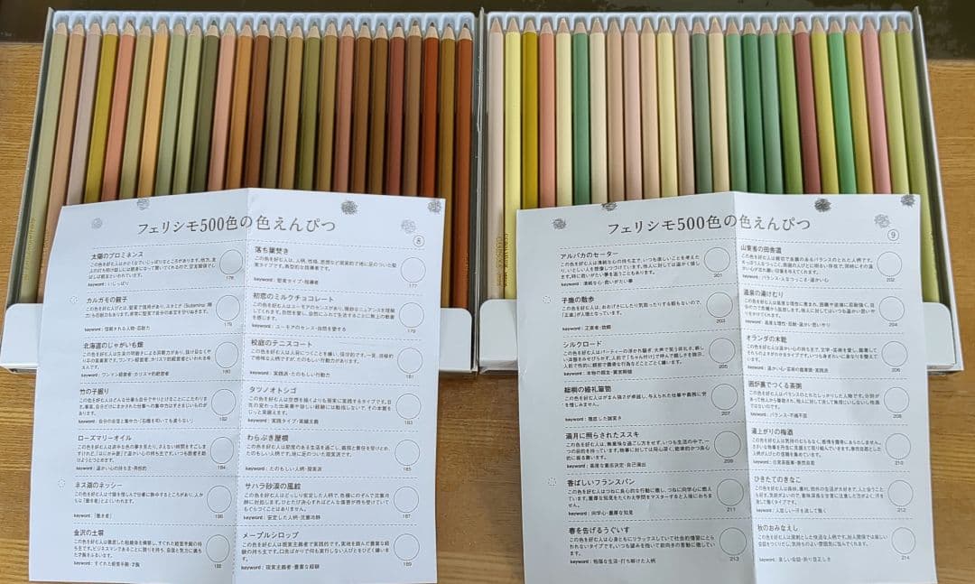 FELISSIMO　色鉛筆500本セット