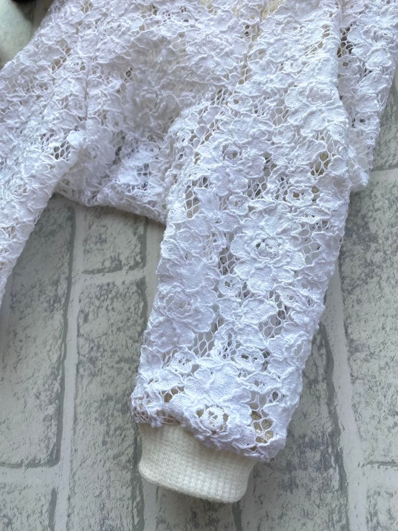 犬服 ラグラン(M) ꒡̈⃝Lily꒡̈⃝ハンドメイド