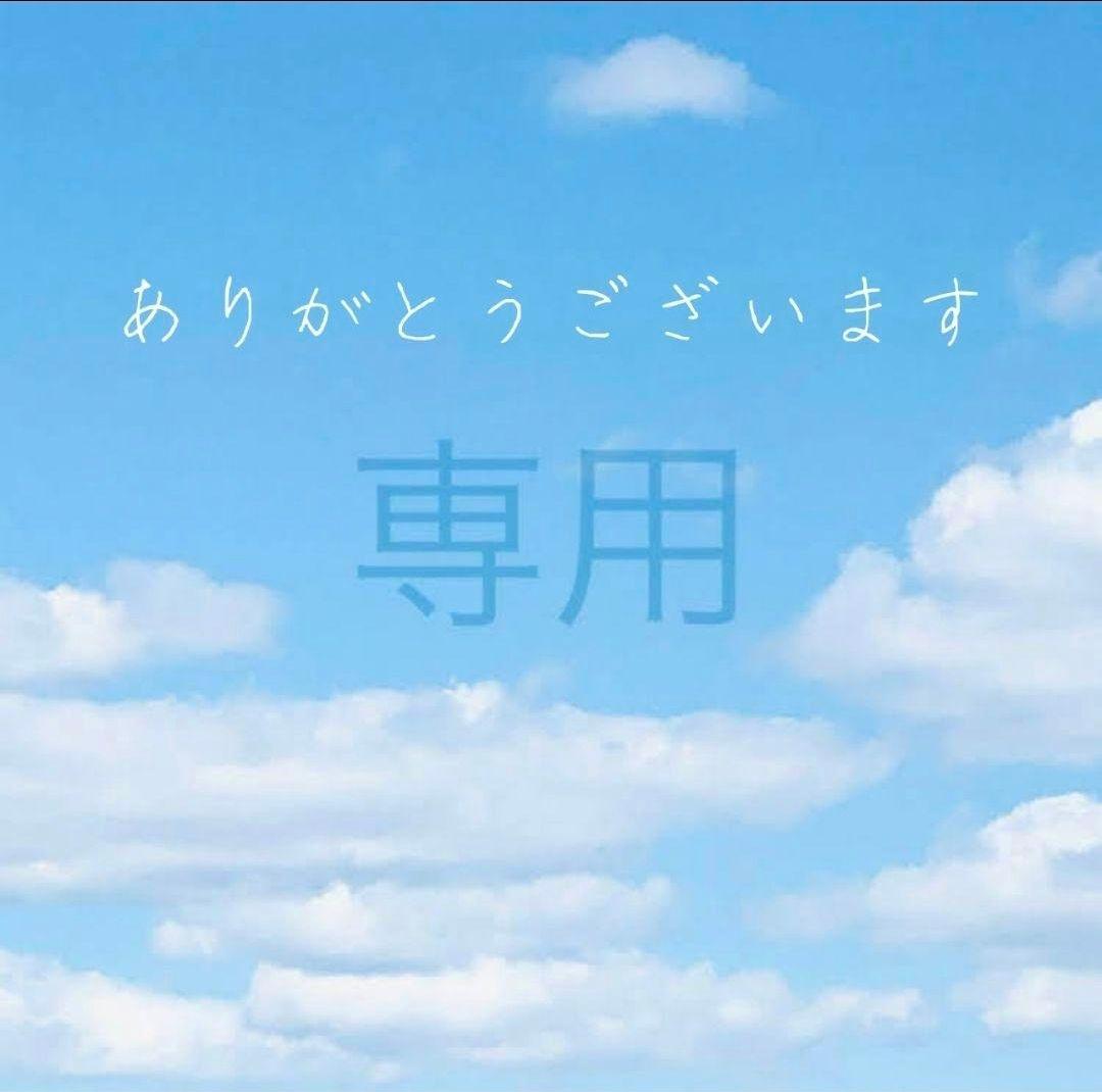 きっしゃんさま専用⭐