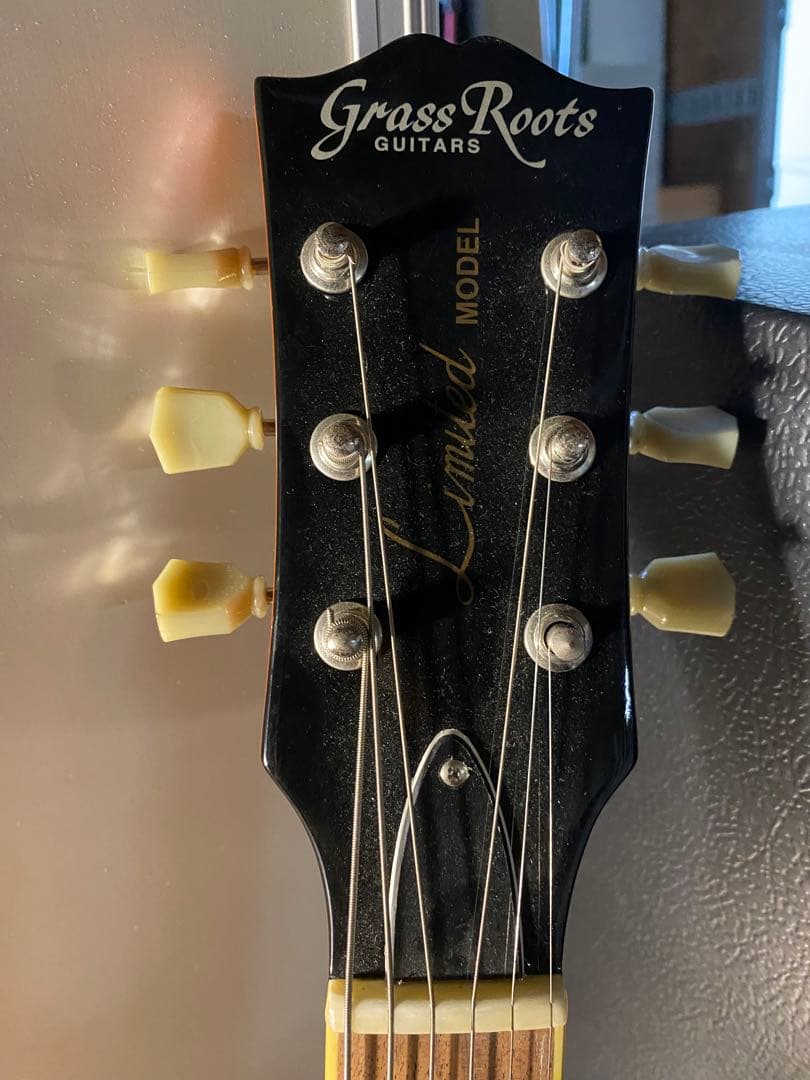 鳥*様 GrassRoots定価44000円 G-LPS-MINI VHB エレ