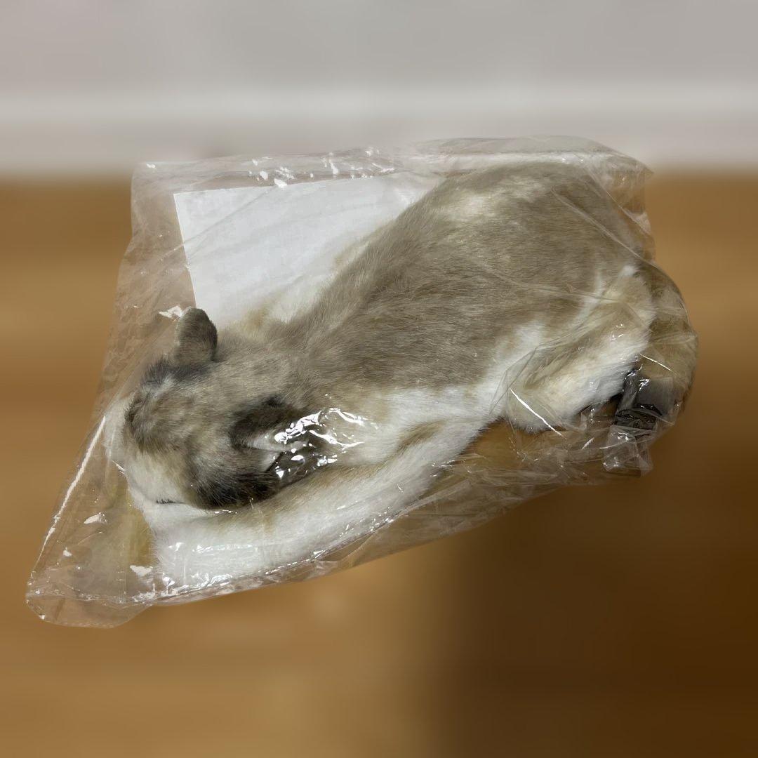 にゃんともあったか湯たんぽ　猫　湯たんぽ