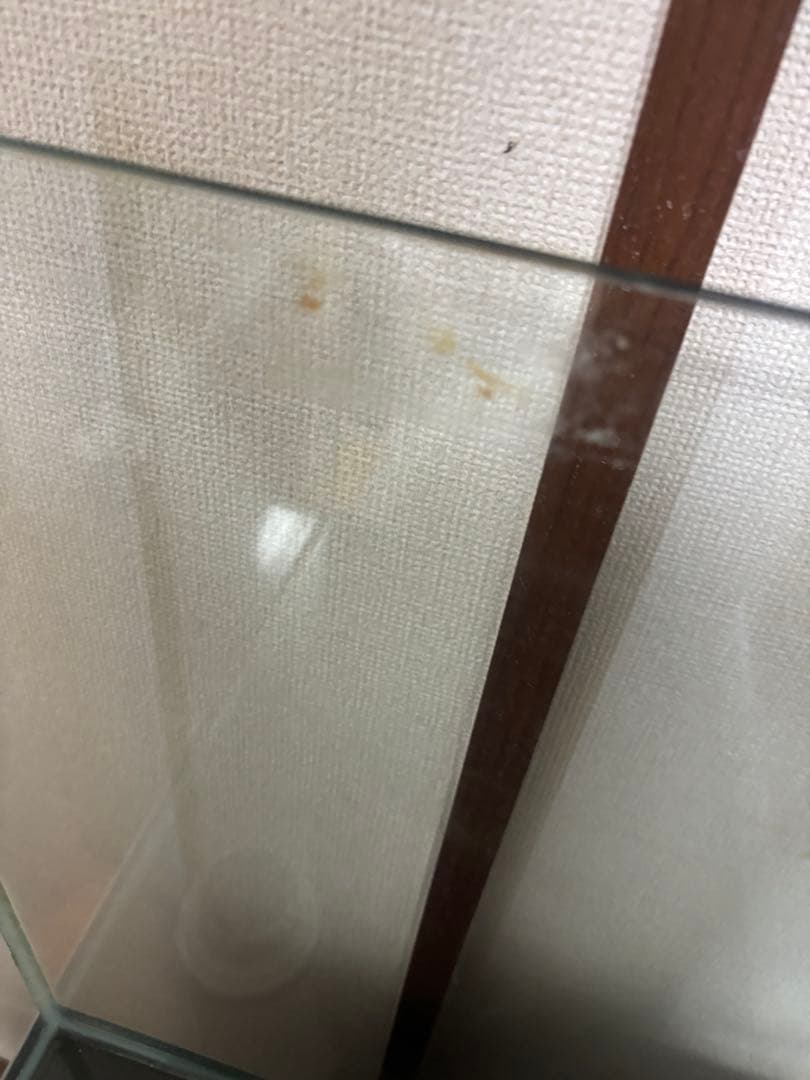 【引取り限定】オーバーフロー水槽　W60 D45 H45