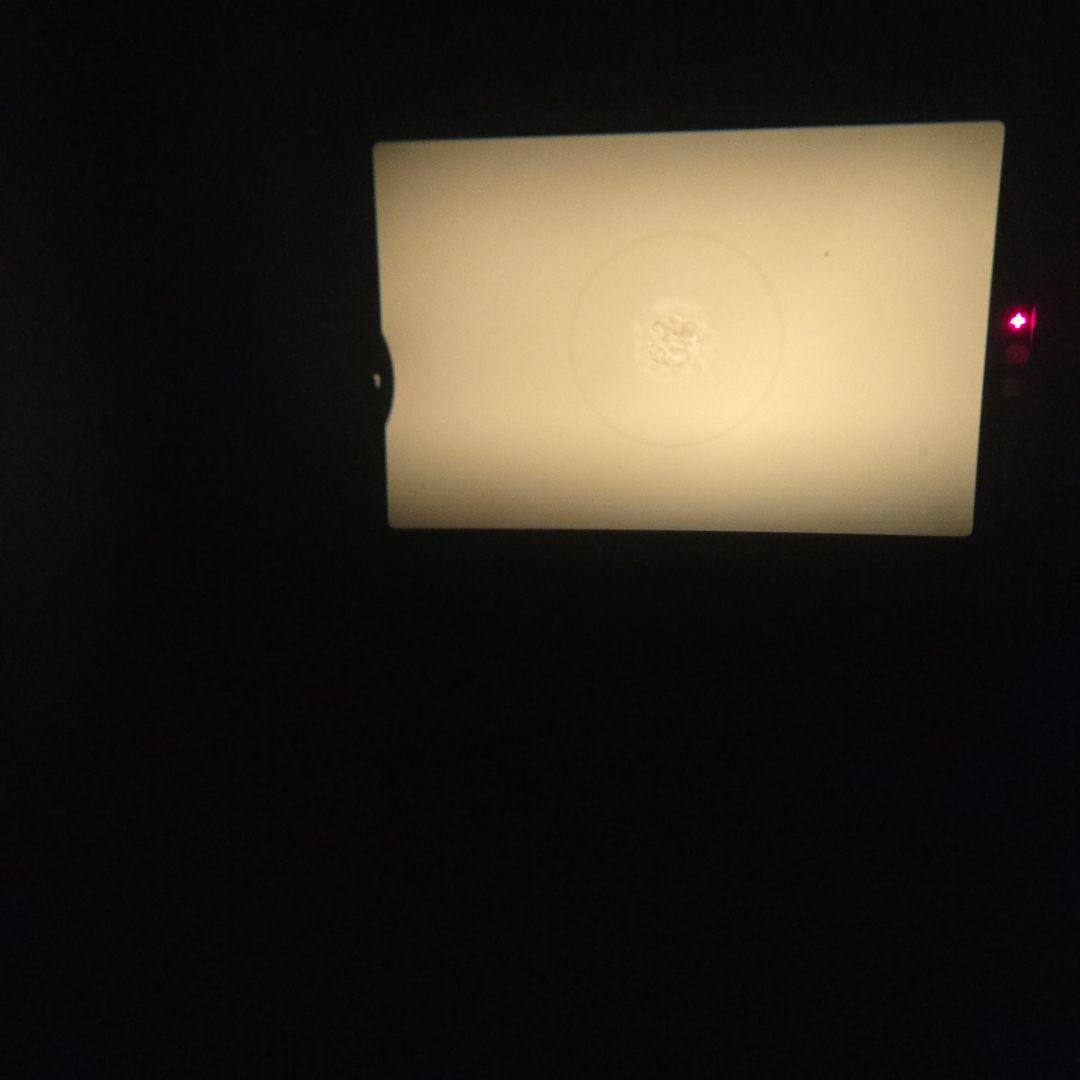 S*n様 通電可 Nikon FM2 + AF NIKKOR 50mm f/1.