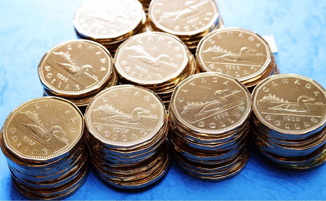 a091 カナダ　1ドル　　 硬貨　100枚　まとめて