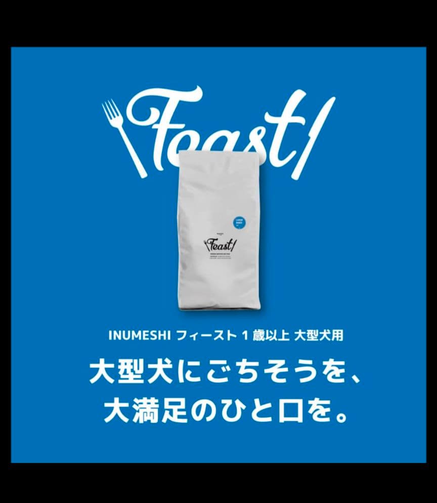 INUMESHI フィースト 1才以上 大型犬用 大粒 15kg ドッグフード