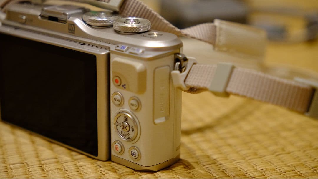 OLYMPUS PEN E-PL9　ダブルズームキット