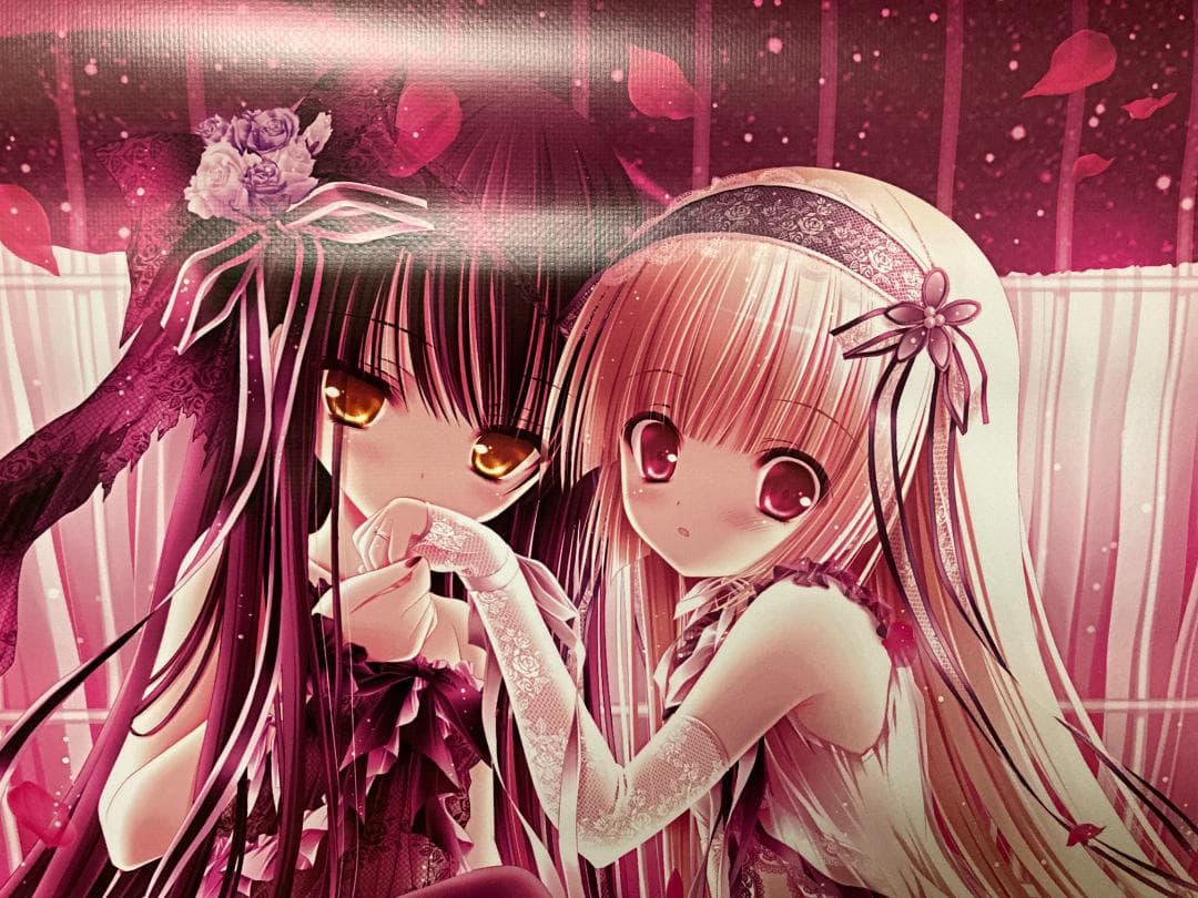 未使用品】てぃんくる ターポリンB1タペストリー BIANCO BIRDCAGE