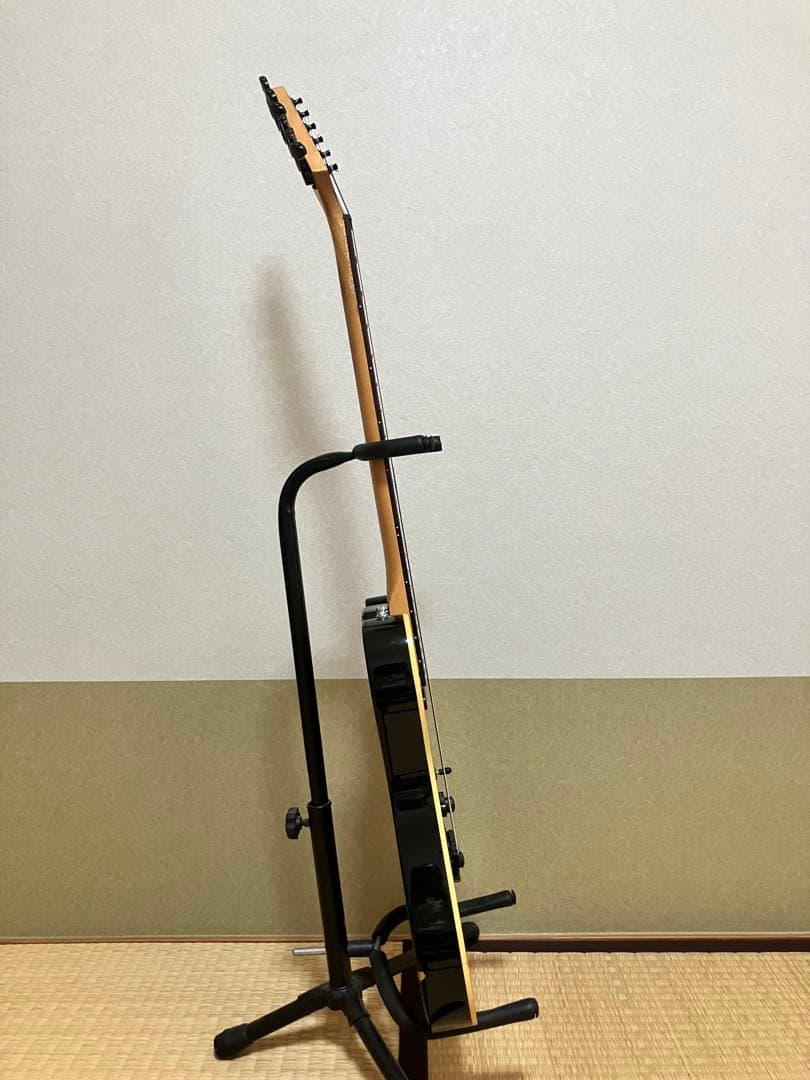 FERNANDES tej-45B フロントPU断線