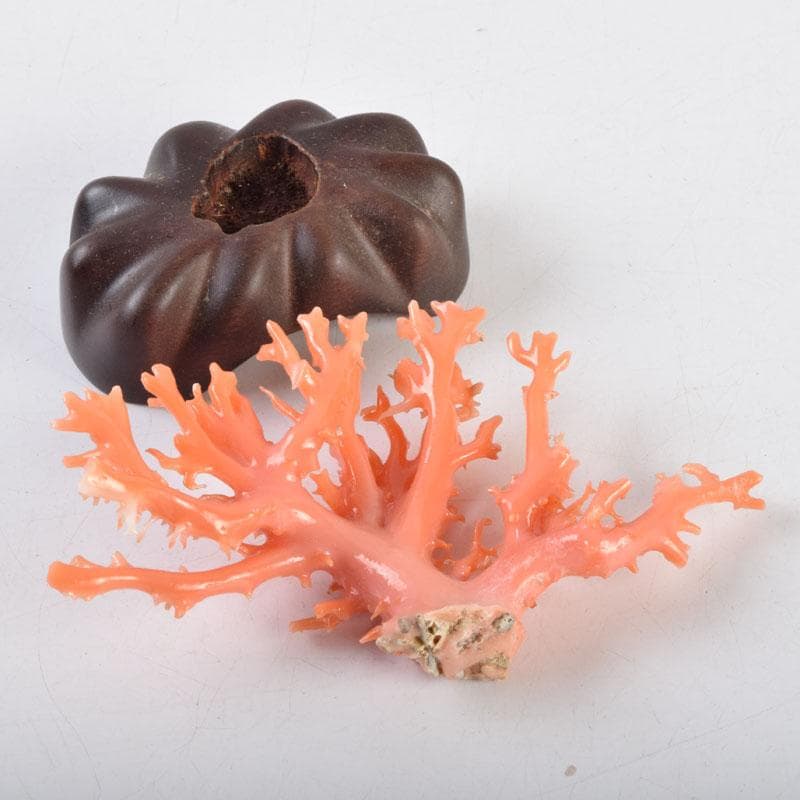 中国　赤珊瑚　サンゴ　置物　唐木台・ケース付　V　9075