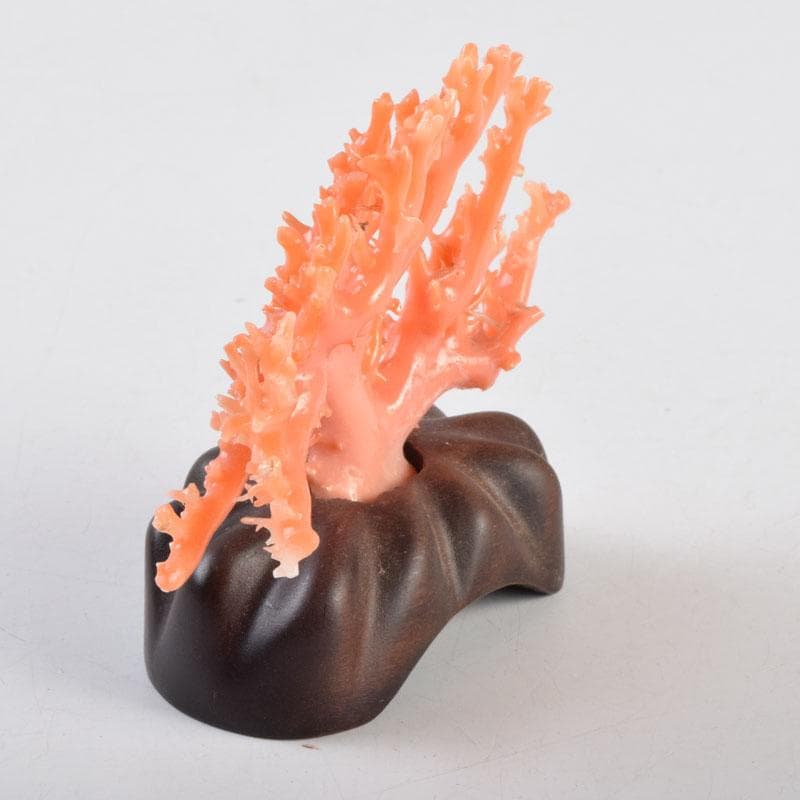 中国　赤珊瑚　サンゴ　置物　唐木台・ケース付　V　9075