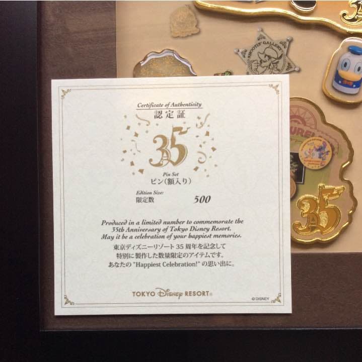 限定 東京ディズニーランド 35周年ハピエストセレブレーション ピン(額入り)