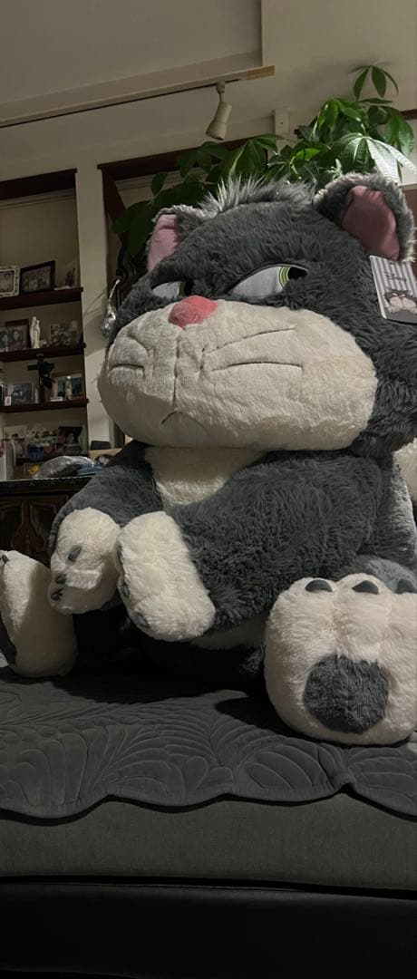 シンデレラ ルシファー ぬいぐるみ 約80cm