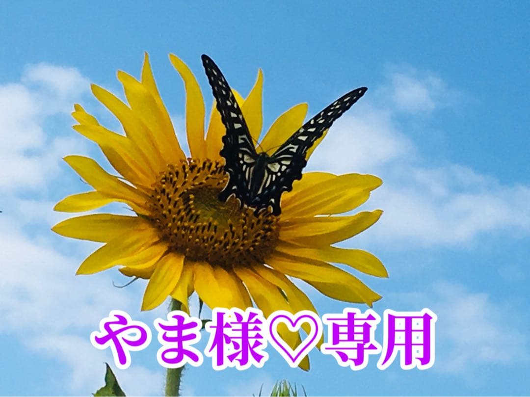 やま様❤️おまとめ専用ページです。1/26まで♡