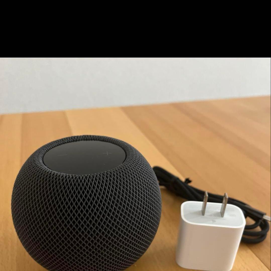 apple pod mini スペースブラック