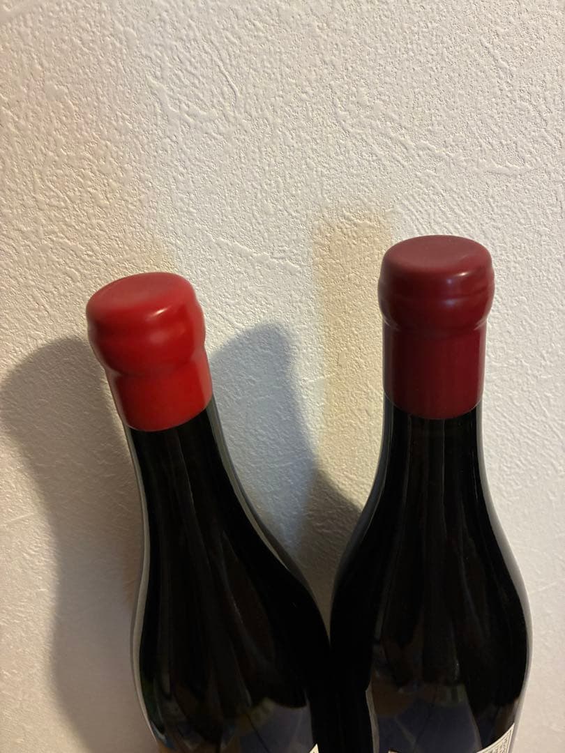 ドメーヌ・タカヒコ（Domaine Takahiko）2023 2本