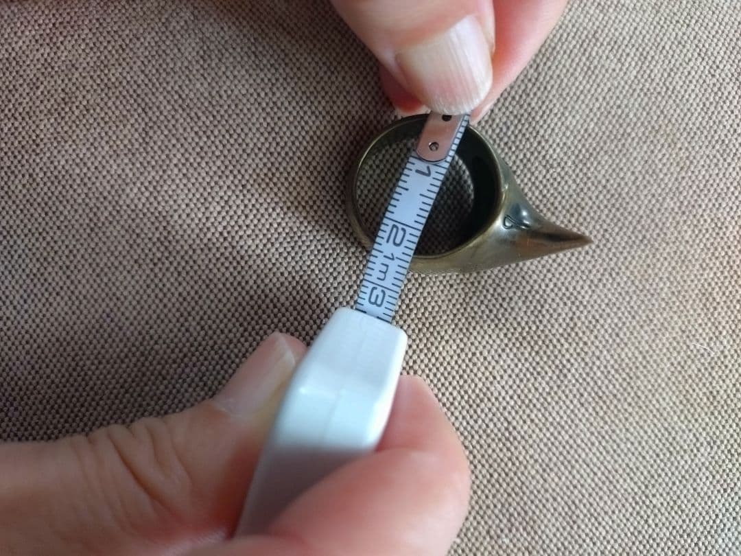 ビューティビースト　シルバーコーティング薔薇の棘デザインのリング