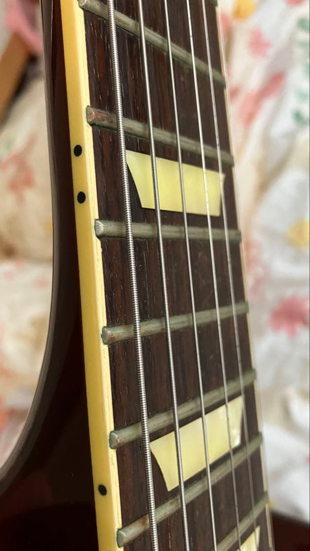 Fujigen FGN NCLS-20R Suhr Aldrichピックアップ